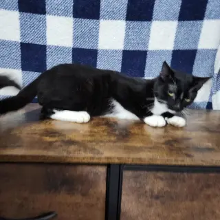 Mcracken
