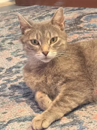 Mabel- No longer accepting applications