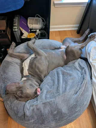 Roscoe