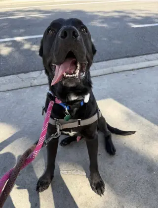 Ralphie