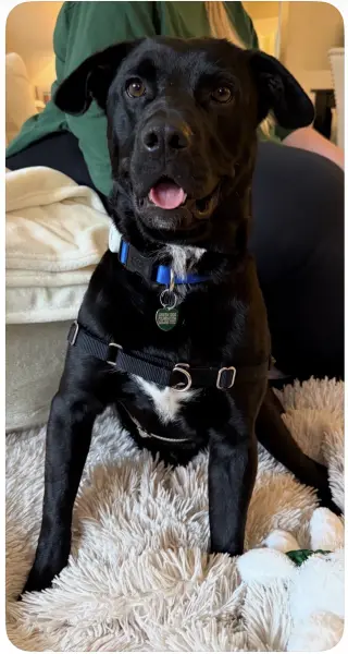 Ralphie