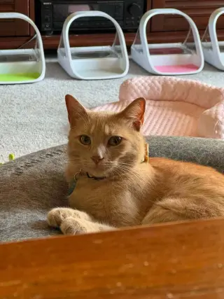 Sam