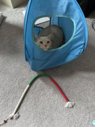 Sam