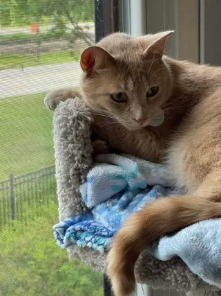 Sam