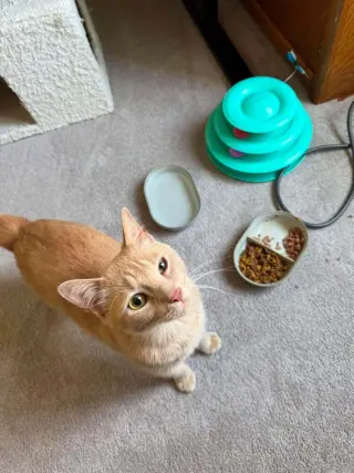 Sam