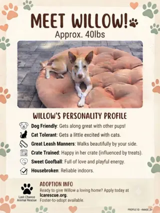 WILLOW