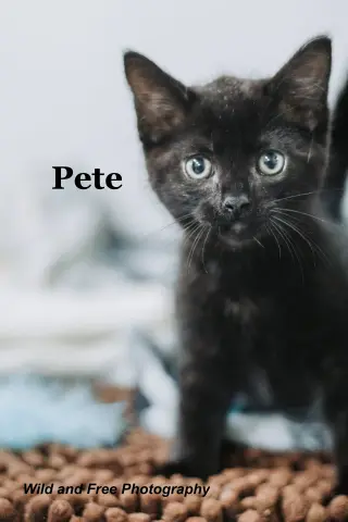 Pete