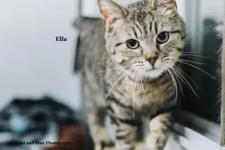 Ella