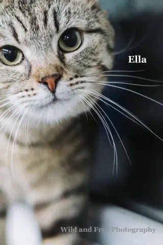 Ella