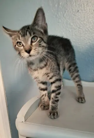 Basil #mr-charming