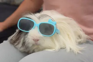 Geoff