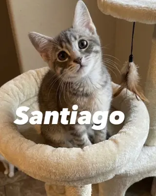 Santiago
