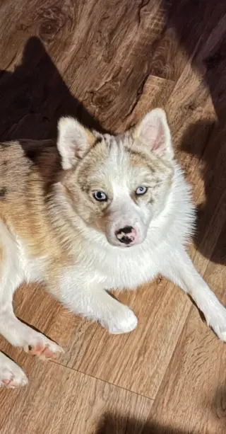 Murph