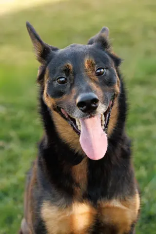 Marley