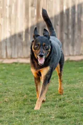 Marley