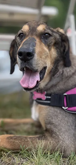 Lily