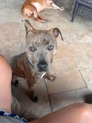 Baby Boy