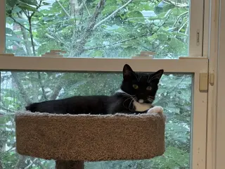 Ruby