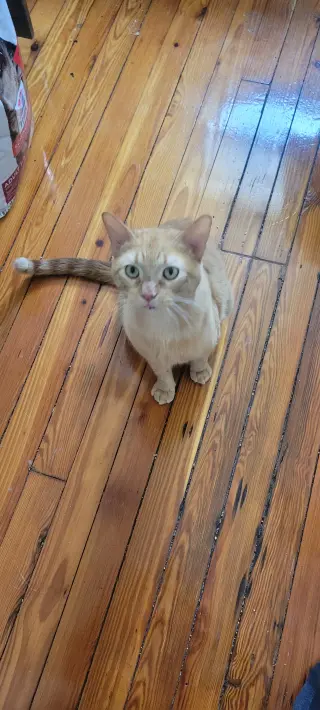 Ed