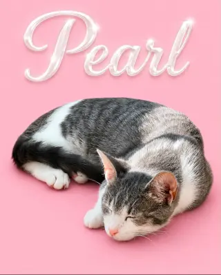 Pearl (FCID# 05/07/2026 - 18 Middletown PS) C