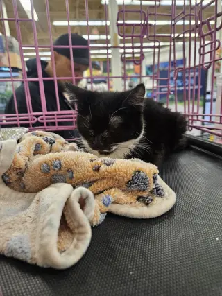 Snuggle Bug