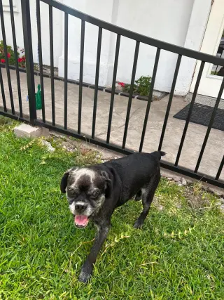 Pugsy Malone