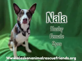 Nala