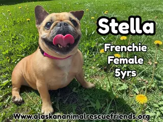 Stella