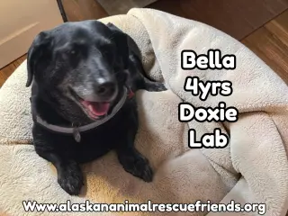 Bella
