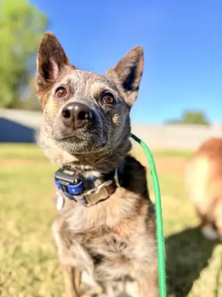 SOKKA #2