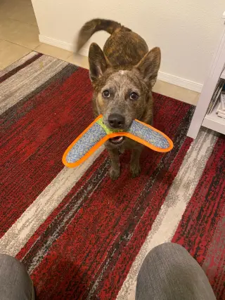 SOKKA #2