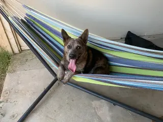 SOKKA #2