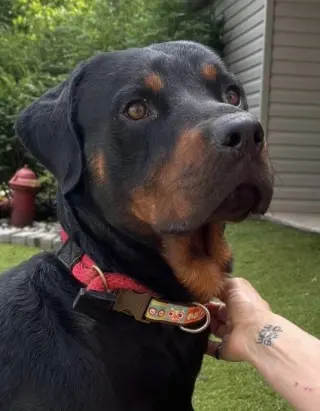 Ben