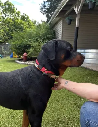 Ben