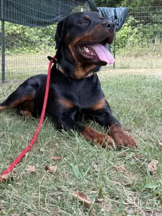 Ben