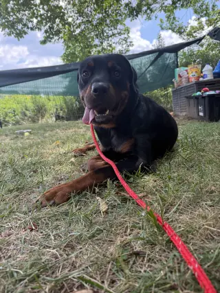 Ben