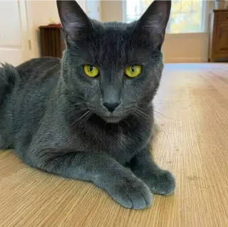 Winbert