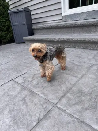 A Casey