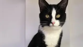 Onyx