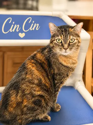 Cin Cin (FCID#06/24/2026 - 152) Willow Grove