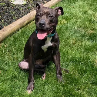 Ginny