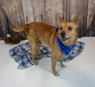 Conan