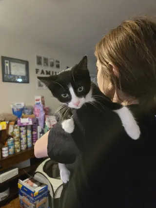 Viktor