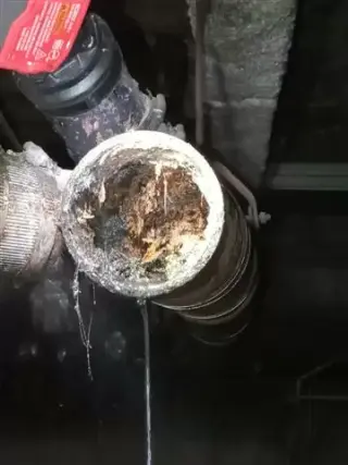 Oscar plumbing