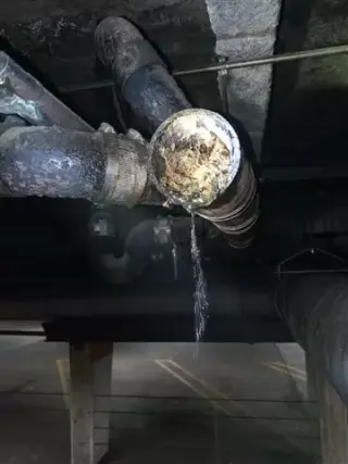 Oscar plumbing