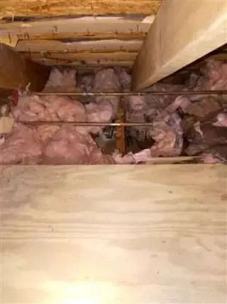 Oscar plumbing