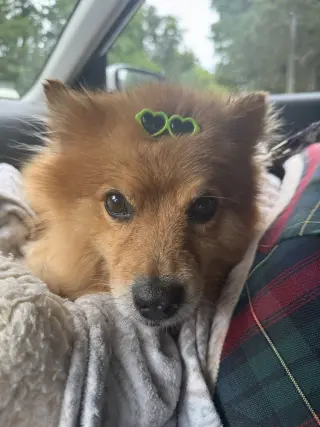 Buster