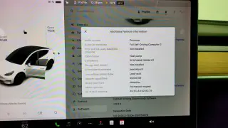 Tesla Model Y 2021 AWD Performance 4p Crossover