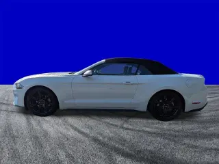 Ford Mustang 2020 EcoBoost Premium 2dr Convertible