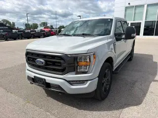 Ford F-150 2023 4x4 Platinum 4p SuperCrew 6.5 pies TB